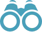 icon visi